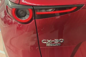 CX30R10
