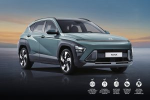kona-hibrida-1