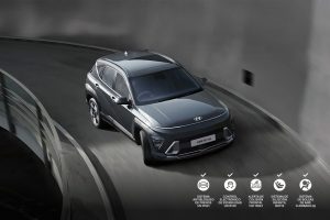 kona-hibrida-4
