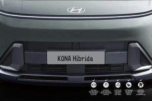 kona-hibrida-8